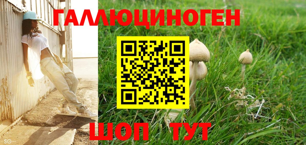 Галлюциногенные грибы Cubensis Артёмовский