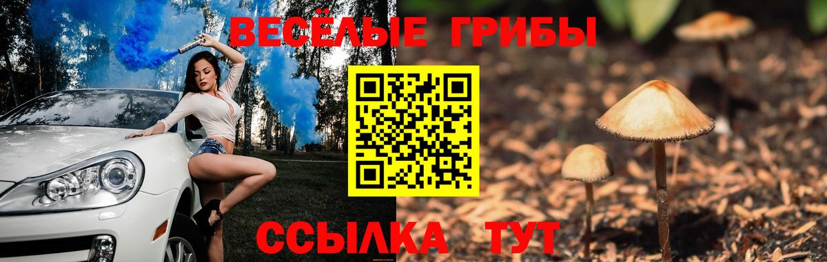 Галлюциногенные грибы Psilocybine cubensis  Псилоцибиновые грибы Psilocybine cubensis  Артёмовский  Вход с VPN 